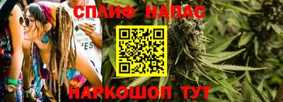 прущие грибы Канаш
