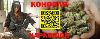 прущие грибы Канаш