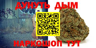 прущие грибы Канаш
