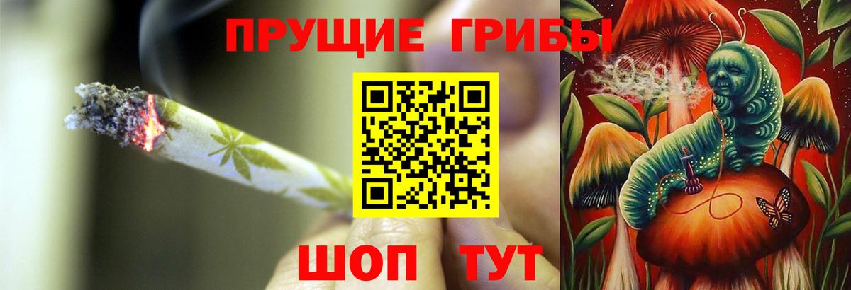 Кировск  Псилоцибиновые грибы мухоморы  Вход с VPN 